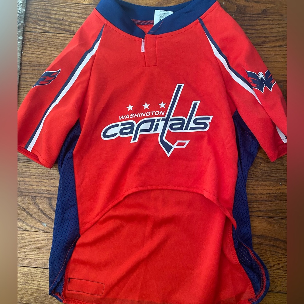 Washington Capitals dog jersey size XL